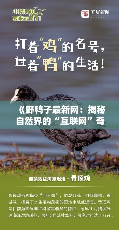 第2472页