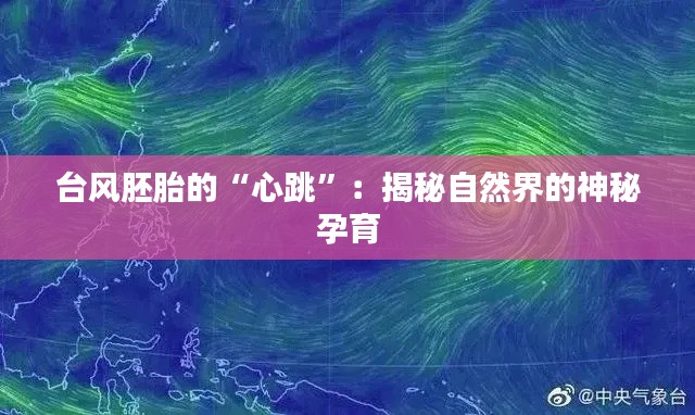 第2470页