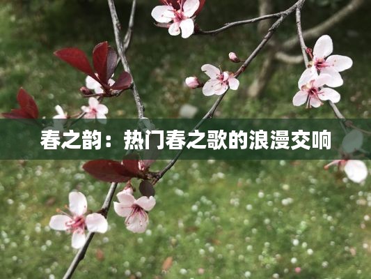 春之韵:热门春之歌的浪漫交响