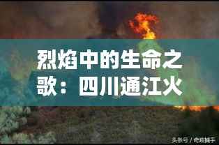 烈焰中的生命之歌:四川通江火灾的温暖瞬间