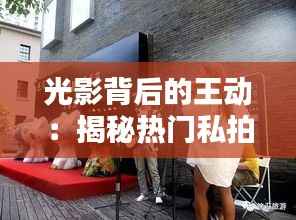 光影背后的王动：揭秘热门私拍的艺术魅力