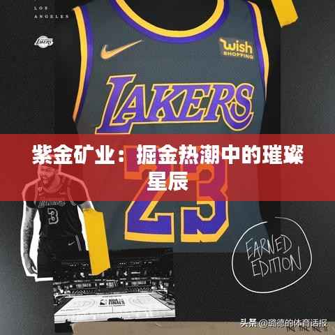 紫金矿业:掘金热潮中的璀璨星辰