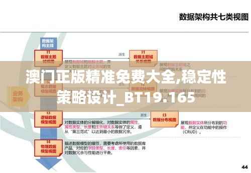 澳门正版精准免费大全,稳定性策略设计_BT19.165