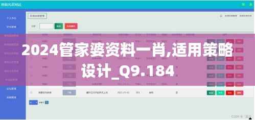 2024管家婆资料一肖,适用策略设计_Q9.184