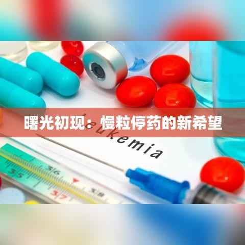 一花独放 第4页