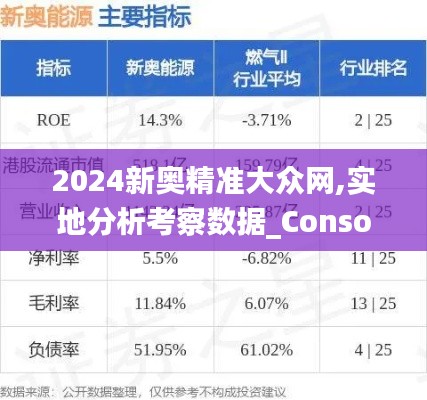 2024新奥精准大众网,实地分析考察数据_Console3.948