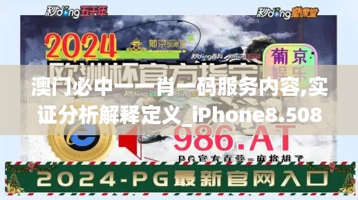 澳门必中一一肖一码服务内容,实证分析解释定义_iPhone8.508
