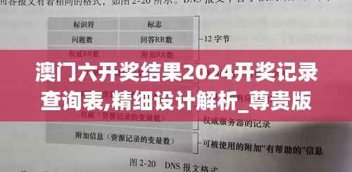 澳门六开奖结果2024开奖记录查询表,精细设计解析_尊贵版8.690