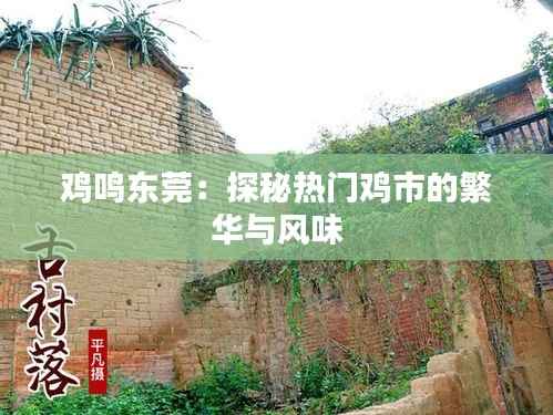 鸡鸣东莞:探秘热门鸡市的繁华与风味