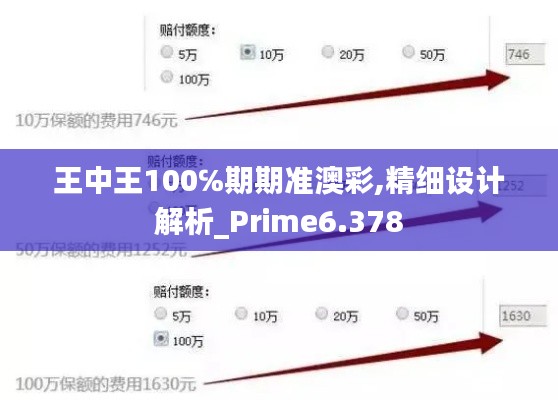 王中王100℅期期准澳彩,精细设计解析_Prime6.378