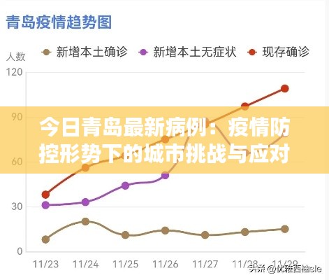 今日青岛最新病例:疫情防控形势下的城市挑战与应对