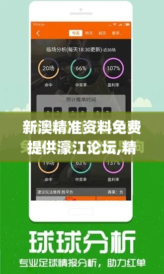 新澳精准资料免费提供濠江论坛,精细化定义探讨_入门版5.252
