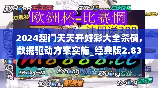 2024澳门天天开好彩大全杀码,数据驱动方案实施_经典版2.839