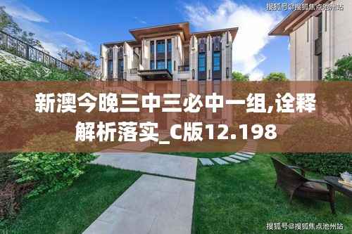 新澳今晚三中三必中一组,诠释解析落实_C版12.198