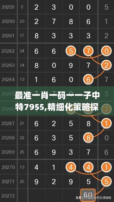 最准一肖一码一一子中特7955,精细化策略探讨_Prestige6.295