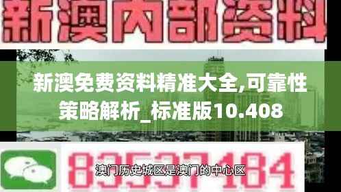 新澳免费资料精准大全,可靠性策略解析_标准版10.408