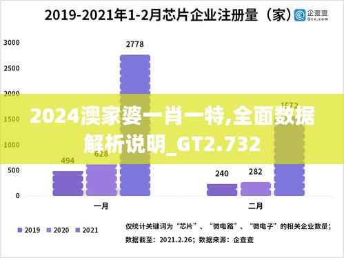 2024澳家婆一肖一特,全面数据解析说明_GT2.732