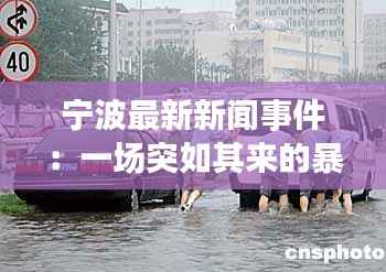 为民请命 第4页