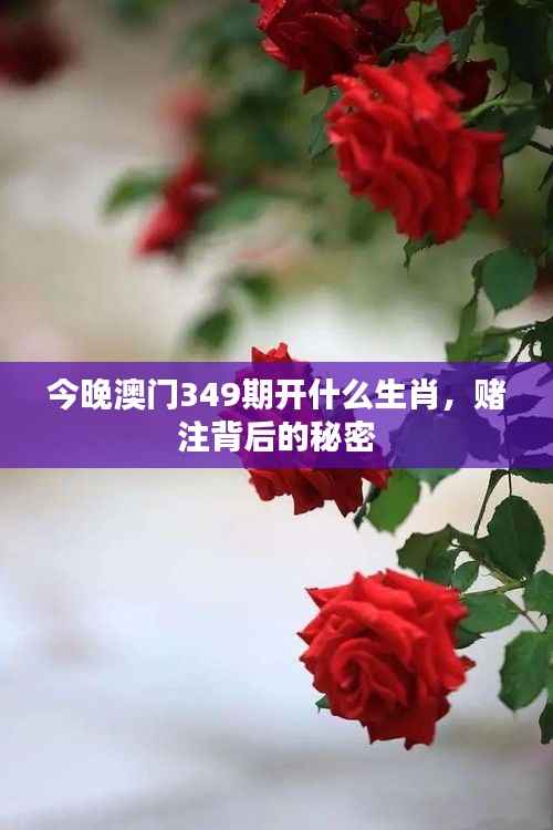 今晚澳门349期开什么生肖,赌注背后的秘密