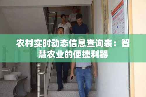 农村实时动态信息查询表:智慧农业的便捷利器