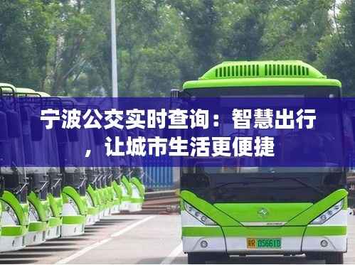 宁波公交实时查询:智慧出行,让城市生活更便捷