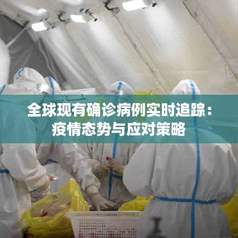 全球现有确诊病例实时追踪:疫情态势与应对策略
