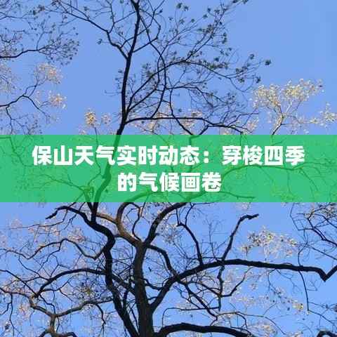 保山天气实时动态:穿梭四季的气候画卷