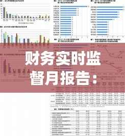 财务实时监督月报告：洞察企业财务健康状况的利器