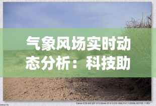 气象风场实时动态分析:科技助力气象预报的精准化