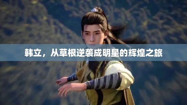 韩立,从草根逆袭成明星的辉煌之旅