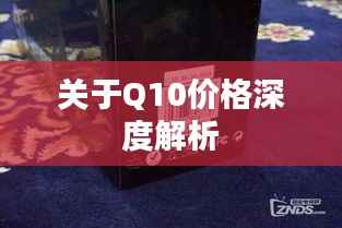 关于Q10价格深度解析