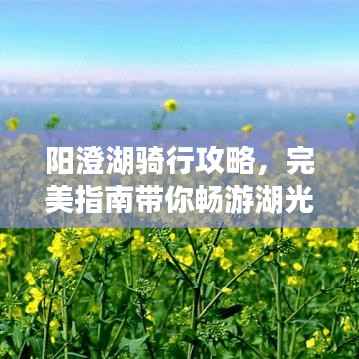 阳澄湖骑行攻略,完美指南带你畅游湖光山色之间