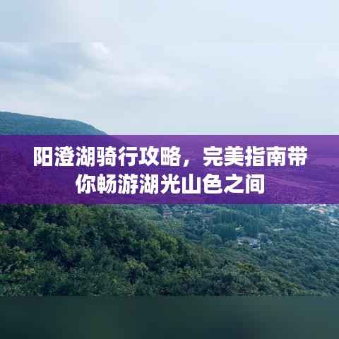 阳澄湖骑行攻略,完美指南带你畅游湖光山色之间