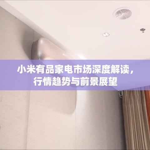 小米有品家电市场深度解读,行情趋势与前景展望