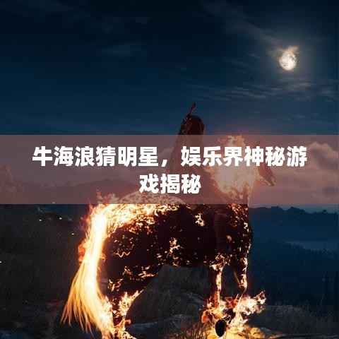 牛海浪猜明星,娱乐界神秘游戏揭秘