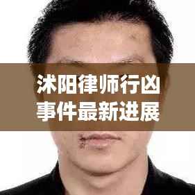 沭阳律师行凶事件最新进展深度解析