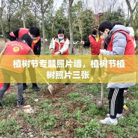 植树节专题照片墙,植树节植树照片三张
