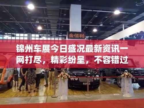 锦州车展今日盛况最新资讯一网打尽,精彩纷呈,不容错过