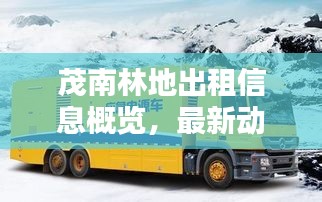 茂南林地出租信息概览,最新动态,不容错过