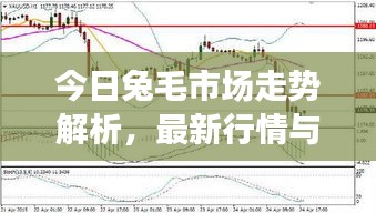 黑天摸地 第3页