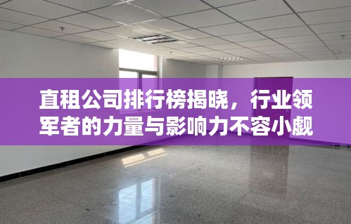 直租公司排行榜揭晓，行业领军者的力量与影响力不容小觑
