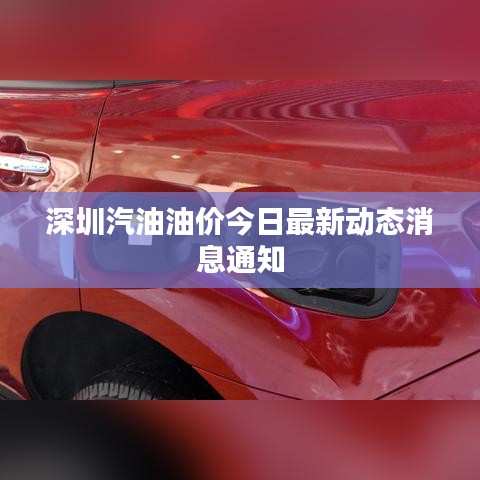 深圳汽油油价今日最新动态消息通知