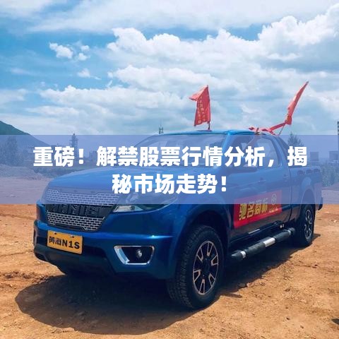 重磅!解禁股票行情分析,揭秘市场走势!