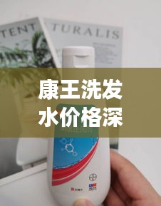 康王洗发水价格深度解析