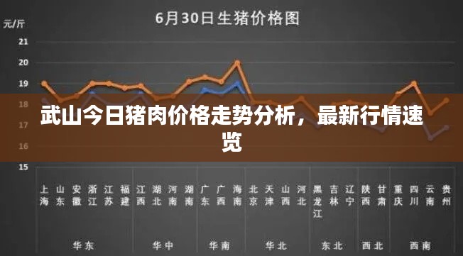 武山今日猪肉价格走势分析,最新行情速览