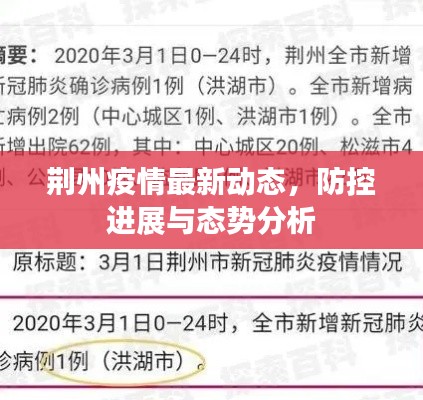 荆州疫情最新动态,防控进展与态势分析
