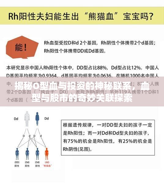 揭秘O型血与投资的神秘联系,血型与股市的奇妙关联探索