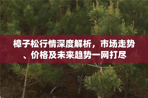 樟子松行情深度解析,市场走势、价格及未来趋势一网打尽