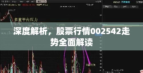 深度解析，股票行情002542走势全面解读
