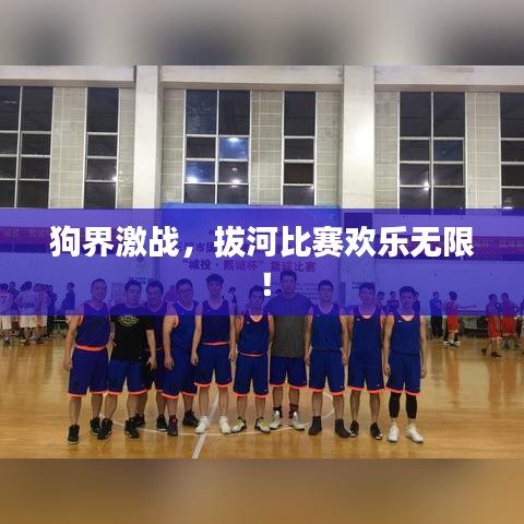 狗界激战，拔河比赛欢乐无限！